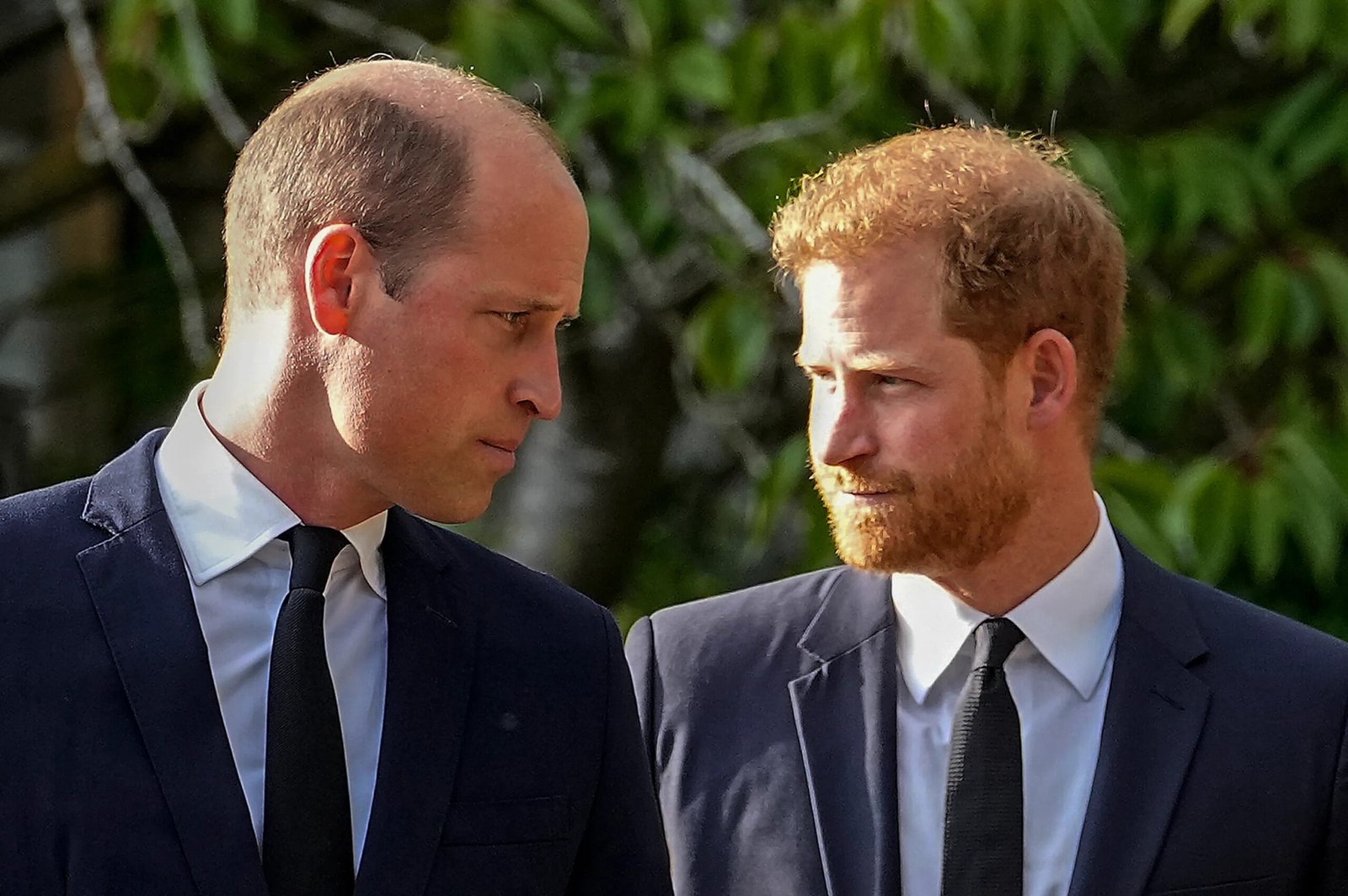 Prince Harry was set to be William's 'top adviser' but that's now 'out of the window'